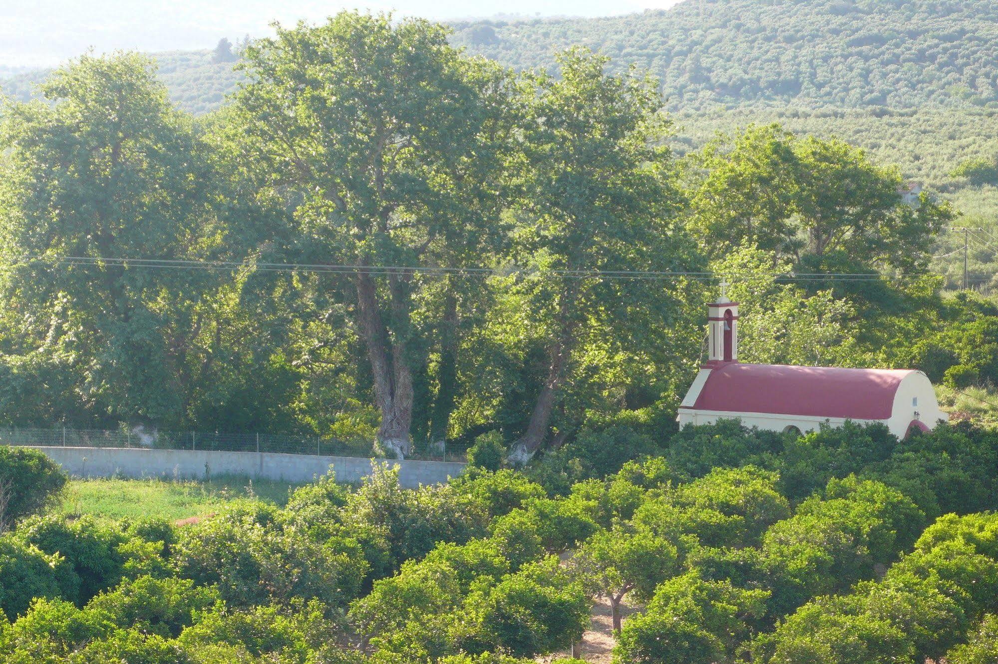 Stefanos Garden Daire Arménoi Dış mekan fotoğraf